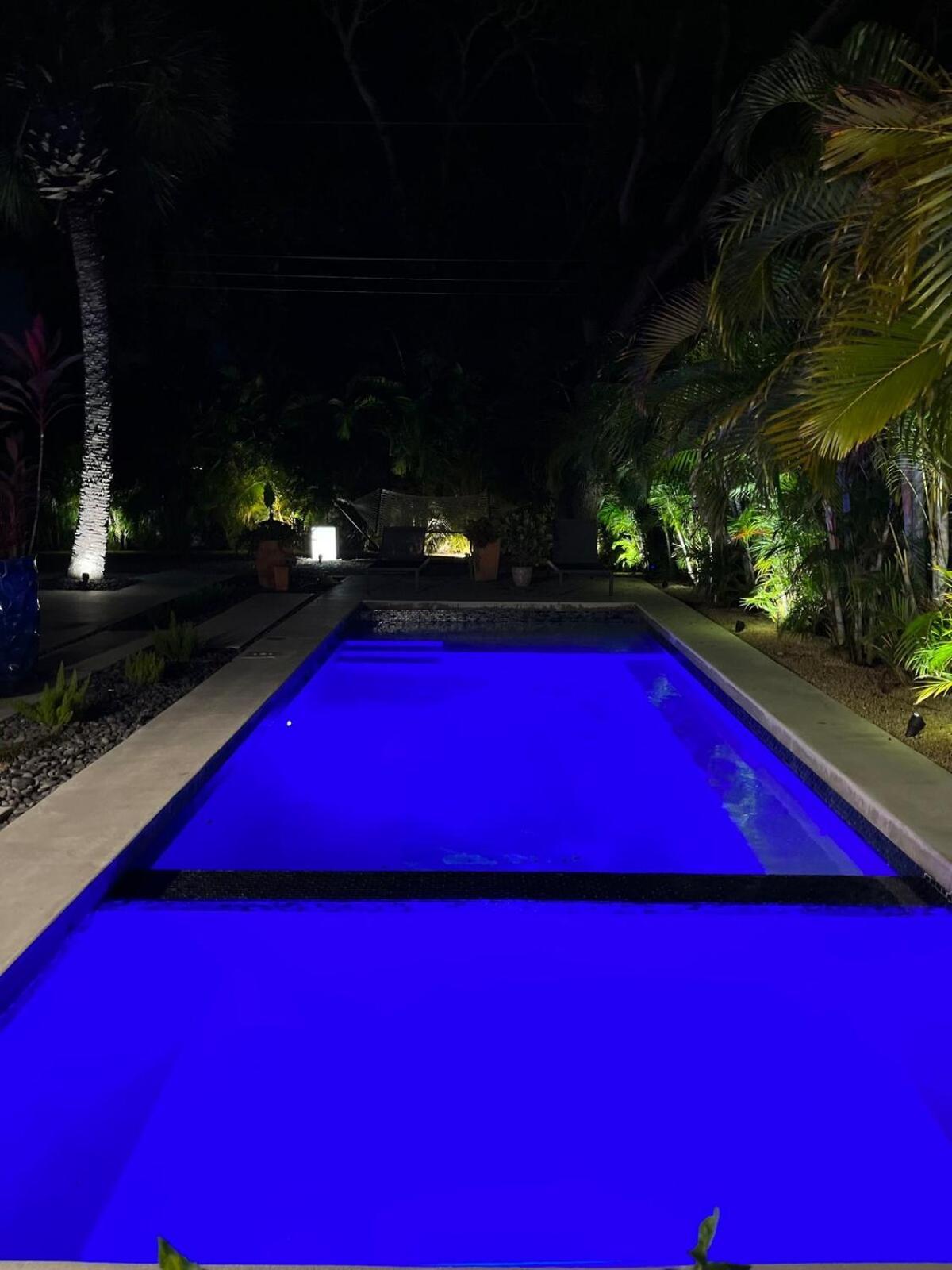 Hiddengem In Charming Sarasota, Florida Villa Ngoại thất bức ảnh